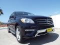 Black - ML 350 Photo No. 11