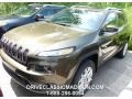 2015 ECO Green Pearl Jeep Cherokee Latitude 4x4  photo #1