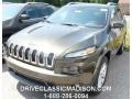 2015 ECO Green Pearl Jeep Cherokee Latitude 4x4  photo #1