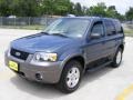 2006 Norsea Blue Metallic Ford Escape XLT V6  photo #7