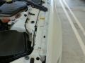 Polaris White - XF  Photo No. 43