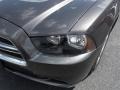 Granite Crystal Metallic - Charger SE Photo No. 4