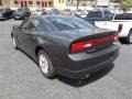 Granite Crystal Metallic - Charger SE Photo No. 7