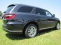 Maximum Steel Metallic - Durango SXT Photo No. 3