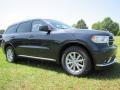 Maximum Steel Metallic - Durango SXT Photo No. 4