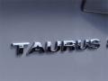 2006 Silver Frost Metallic Ford Taurus SE  photo #10