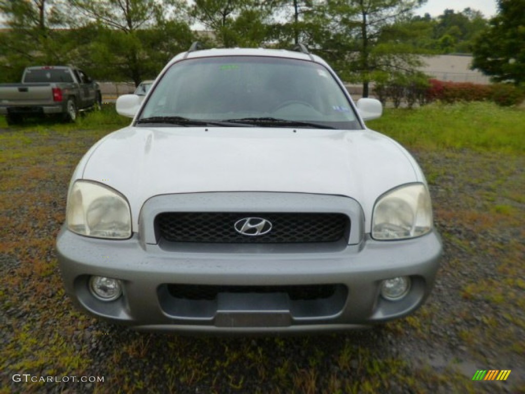 2004 Santa Fe GLS 4WD - Nordic White / Gray photo #2