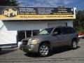 2003 Pewter Metallic GMC Envoy SLT 4x4 #96545049