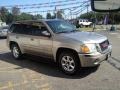 Pewter Metallic - Envoy SLT 4x4 Photo No. 5