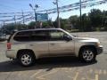 Pewter Metallic - Envoy SLT 4x4 Photo No. 8