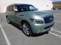 Mountain Sage - QX 56 4WD Photo No. 1
