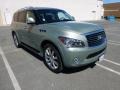 2011 Mountain Sage Infiniti QX 56 4WD #96544482