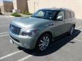 Mountain Sage - QX 56 4WD Photo No. 10