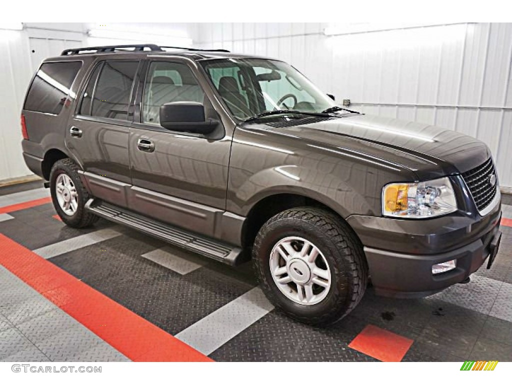 2005 Expedition XLT 4x4 - Dark Stone Metallic / Medium Parchment photo #4