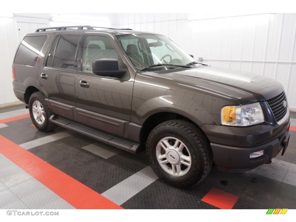 2005 Expedition XLT 4x4 - Dark Stone Metallic / Medium Parchment photo #10