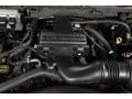 2005 Dark Stone Metallic Ford Expedition XLT 4x4  photo #42