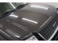 2005 Dark Stone Metallic Ford Expedition XLT 4x4  photo #46