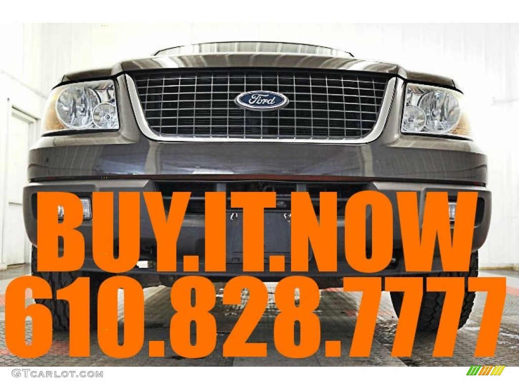 2005 Expedition XLT 4x4 - Dark Stone Metallic / Medium Parchment photo #73