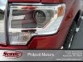 2014 Ruby Red Ford F150 XLT SuperCrew 4x4  photo #9