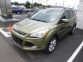 2013 Ginger Ale Metallic Ford Escape SEL 1.6L EcoBoost 4WD  photo #3