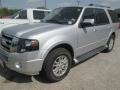 2014 Ingot Silver Ford Expedition Limited 4x4  photo #3