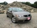 Titanium 2010 Kia Forte EX