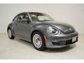 Platinum Gray Metallic - Beetle 2.5L Photo No. 2