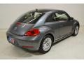 Platinum Gray Metallic - Beetle 2.5L Photo No. 5
