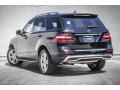 Black - ML 350 Photo No. 2