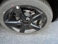 Granite Crystal Metallic - Dart Blacktop Photo No. 11