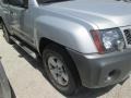 Silver Lightning - Xterra S Photo No. 2