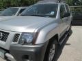 Silver Lightning - Xterra S Photo No. 3