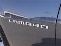 Cyber Gray Metallic - Camaro LS Coupe Photo No. 10