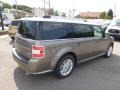 2014 Mineral Gray Ford Flex SEL AWD  photo #5