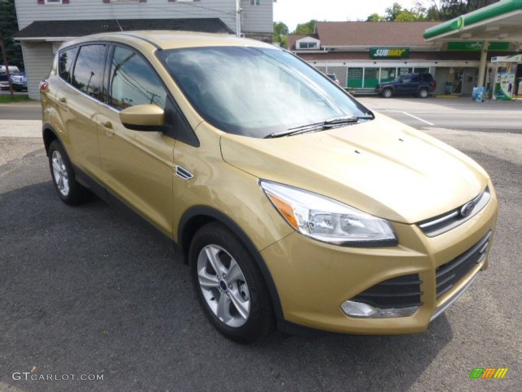 2014 Escape SE 1.6L EcoBoost 4WD - Karat Gold / Charcoal Black photo #3