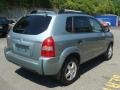 2007 Desert Sage Metallic Hyundai Tucson GLS  photo #4