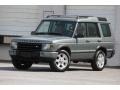 Giverny Green 2004 Land Rover Discovery SE
