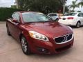 Flamenco Red Metallic - C70 T5 Photo No. 7