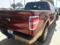 2014 Sunset Ford F150 King Ranch SuperCrew 4x4  photo #8