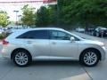 Classic Silver Metallic - Venza I4 Photo No. 10