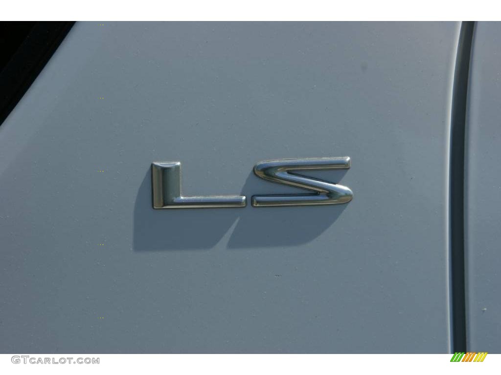 2002 Rodeo LS 4WD - Alpine White / Gray photo #13