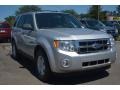 Ingot Silver Metallic 2011 Ford Escape XLT