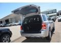 Ingot Silver Metallic - Escape XLT Photo No. 17