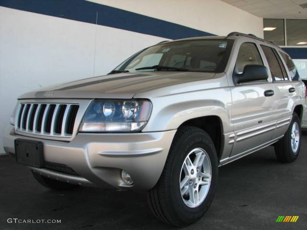 2004 Grand Cherokee Special Edition 4x4 - Light Pewter Metallic / Taupe photo #1