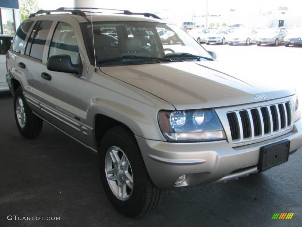 2004 Grand Cherokee Special Edition 4x4 - Light Pewter Metallic / Taupe photo #3