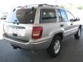 2004 Light Pewter Metallic Jeep Grand Cherokee Special Edition 4x4  photo #4