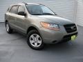 2009 Natural Khaki Hyundai Santa Fe GLS #96680084