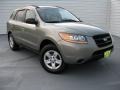 2009 Natural Khaki Hyundai Santa Fe GLS  photo #2