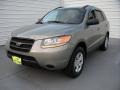 2009 Natural Khaki Hyundai Santa Fe GLS  photo #7