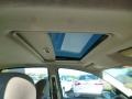 Ingot Silver Metallic - Focus SES Sedan Photo No. 11